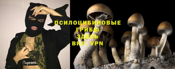 трава Приозерск