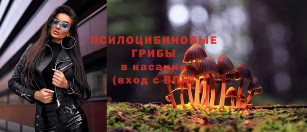 СК Протвино
