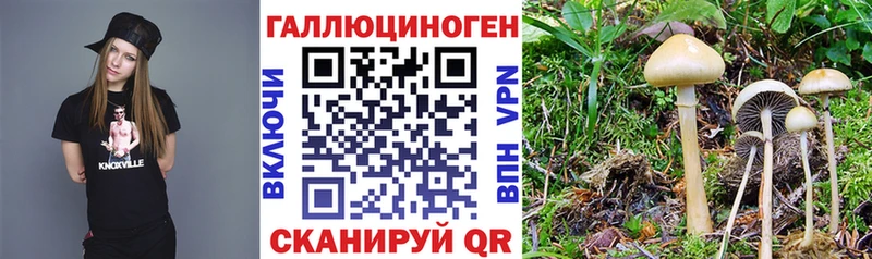 Псилоцибиновые грибы MAGIC MUSHROOMS  Сокол 