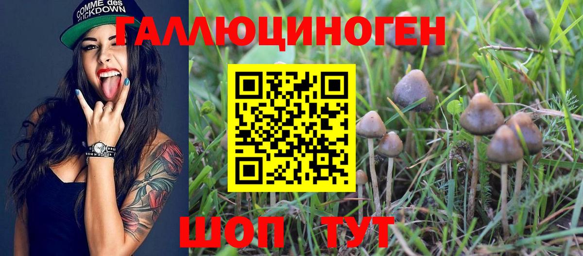 Псилоцибиновые грибы Psilocybe  Галлюциногенные грибы Psilocybine cubensis  Вход с VPN  Сокол 