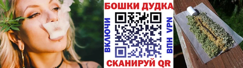 Каннабис SATIVA & INDICA Сокол